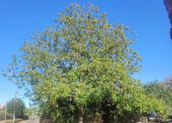 컨트리하우스 Nuit Insolite, Au Dessus D'une Etable La Chapelle-Themer